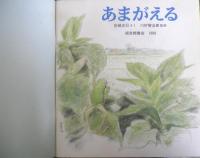 あまがえる　かがくのとも231号　1988年初版　吉崎正巳/川村智治郎　福音館書店　3