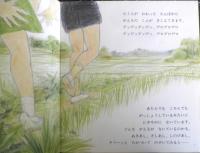 あまがえる　かがくのとも231号　1988年初版　吉崎正巳/川村智治郎　福音館書店　3