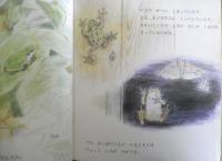 あまがえる　かがくのとも231号　1988年初版　吉崎正巳/川村智治郎　福音館書店　3