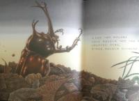 かぶとむしはどこ？　かがくのとも205号　1986年初版　松岡達英　福音館書店　3