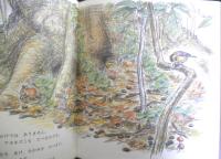 もりのとり　かがくのとも224号　1987年初版　樋口広芳/二俣英五郎　福音館書店　3