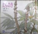 たらのき　かがくのとも204号　1986年初版　日浦勇/石部虎二　福音館書店　3