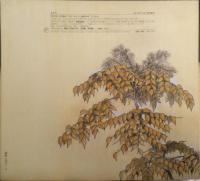 たらのき　かがくのとも204号　1986年初版　日浦勇/石部虎二　福音館書店　3