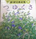 つゆくさ　かがくのとも244号　1989年初版　矢間芳子　福音館書店　3