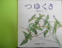 つゆくさ　かがくのとも244号　1989年初版　矢間芳子　福音館書店　3