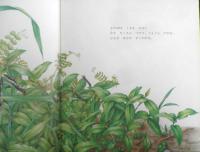 つゆくさ　かがくのとも244号　1989年初版　矢間芳子　福音館書店　3