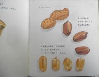 ピーナッツ なんきんまめ らっかせい　かがくのとも223号　1987年初版　こうやすすむ/中島睦子　福音館書店　3