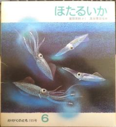 ほたるいか　かがくのとも195号　1985年初版　冨田百秋/奥谷喬司　福音館書店　3