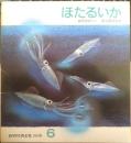 ほたるいか　かがくのとも195号　1985年初版　冨田百秋/奥谷喬司　福音館書店　3