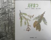 えぞまつ　かがくのとも209号　1986年初版　神沢利子/吉田勝彦/有澤浩　福音館書店　3