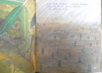 えぞまつ　かがくのとも209号　1986年初版　神沢利子/吉田勝彦/有澤浩　福音館書店　3