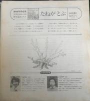 たねがとぶ　かがくのとも217号　1987年初版　甲斐信枝/森田竜義　福音館書店　3