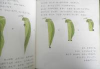 おとしぶみ　かがくのとも219号　1987年初版　岡島秀治/吉谷昭憲　福音館書店　3