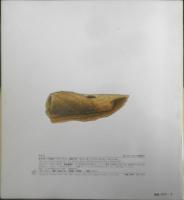 おとしぶみ　かがくのとも219号　1987年初版　岡島秀治/吉谷昭憲　福音館書店　3