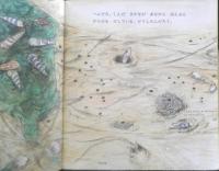 ひがたでみつけた　かがくのとも207号　1986年初版　吉崎正巳/林公義　福音館書店　3