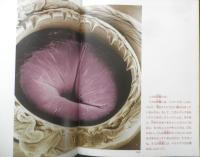 ミクロの世界　月刊たくさんのふしぎ81号　1991年初版　田中敬一文・写真　福音館書店　b