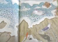 海の中のぞいた　かがくのとも245号　1989年初版　奥西賀男　福音館書店　3