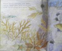 海の中のぞいた　かがくのとも245号　1989年初版　奥西賀男　福音館書店　3