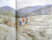 ぼくはたね　かがくのとも235号　1988年初版　奥西賀男　福音館書店　3