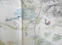 もりのさんぽ　かがくのとも89号　1976年初版　吉崎正巳　福音館書店　3