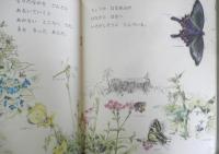 もりのさんぽ　かがくのとも89号　1976年初版　吉崎正巳　福音館書店　3