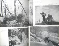 アートシアター 送られなかった手紙 昭和39年27号　作品研究「送られなかった手紙」/岡俊雄　d