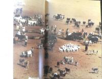 ニジェールの遊牧民［ワーダべ］NOMADS OF NIGER WODAABE　1984年発行　l