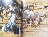 ニジェールの遊牧民［ワーダべ］NOMADS OF NIGER WODAABE　1984年発行　l