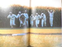 映画パンフレット　フィールド・オブ・ドリームス　1990年　x