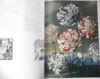 花の絵集　昭和52年初版　シーモア・クワスト/エミリー・ブレア・チューニング　クイックフォックス社　x