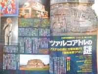 月刊ムー　2008年11月号No.336　総力特集/封印された神々の超古代核戦争　学研　e