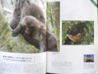 MIRRORLESS STYLE ミラーレスカメラの「今」がわかる　6冊セット　アサヒカメラ付録　i