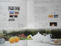 CANON キヤノン　イクシ・イクシG　カタログ　パンフレット　2点セット　1996年　a19