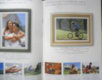 Canon キヤノン　カメラ　EOS Kiss　カタログ　パンフレット　1995年　a19