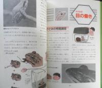 小動物の飼い方と観察 理科の自由研究編集委員会　1987年初版　誠文堂新光社　d