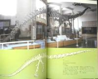 中国の恐竜展　図録　1981年開催　e