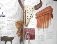 写真でみるアメリカインディアンの世界　「知」のビジュアル百科　2008年2刷　あすなろ書房　e