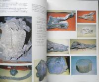 日本人はどこから来たか 日本人の起源展　図録　1988年開催　d