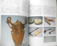 日本人はどこから来たか 日本人の起源展　図録　1988年開催　d