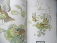 鳥百態　岡崎立作品集　1988年初版　山と渓谷社　g