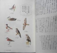 私と野鳥の35年　日比野登　2015年初版　イマジン出版　h