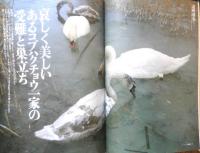 SINRA シンラ 1998年3月号No.51　特集/100匹の猫と主人の物語'98　新潮社　t