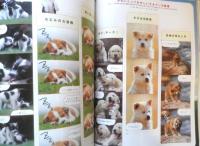CREA クレア　2000年2月号　ますます、犬が好き！　文藝春秋　a