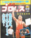 週刊プロレス　1999年6月15日No.918　O・ハート事故死/馳浩寄稿　ベースボール・マガジン社　i