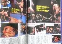 週刊プロレス　1999年6月29日No.921　高田延彦/インタビュー　ベースボール・マガジン社　i