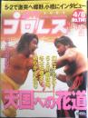 週刊プロレス　2003年4月8日No.1141　冬木弘道氏、追悼特集　ベースボール・マガジン社　t