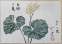 富岡美術館　武者小路実篤　絵はがき　5枚セット　a18