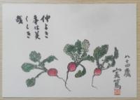 富岡美術館　武者小路実篤　絵はがき　5枚セット　a18