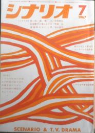 シナリオ　昭和42年7月号　青森県のせむし男/寺山修司　シナリオ作家協会　c