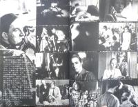 キネマ旬報　昭和39年5月下旬号 No.366　帝銀事件・死刑囚/市川沖　v